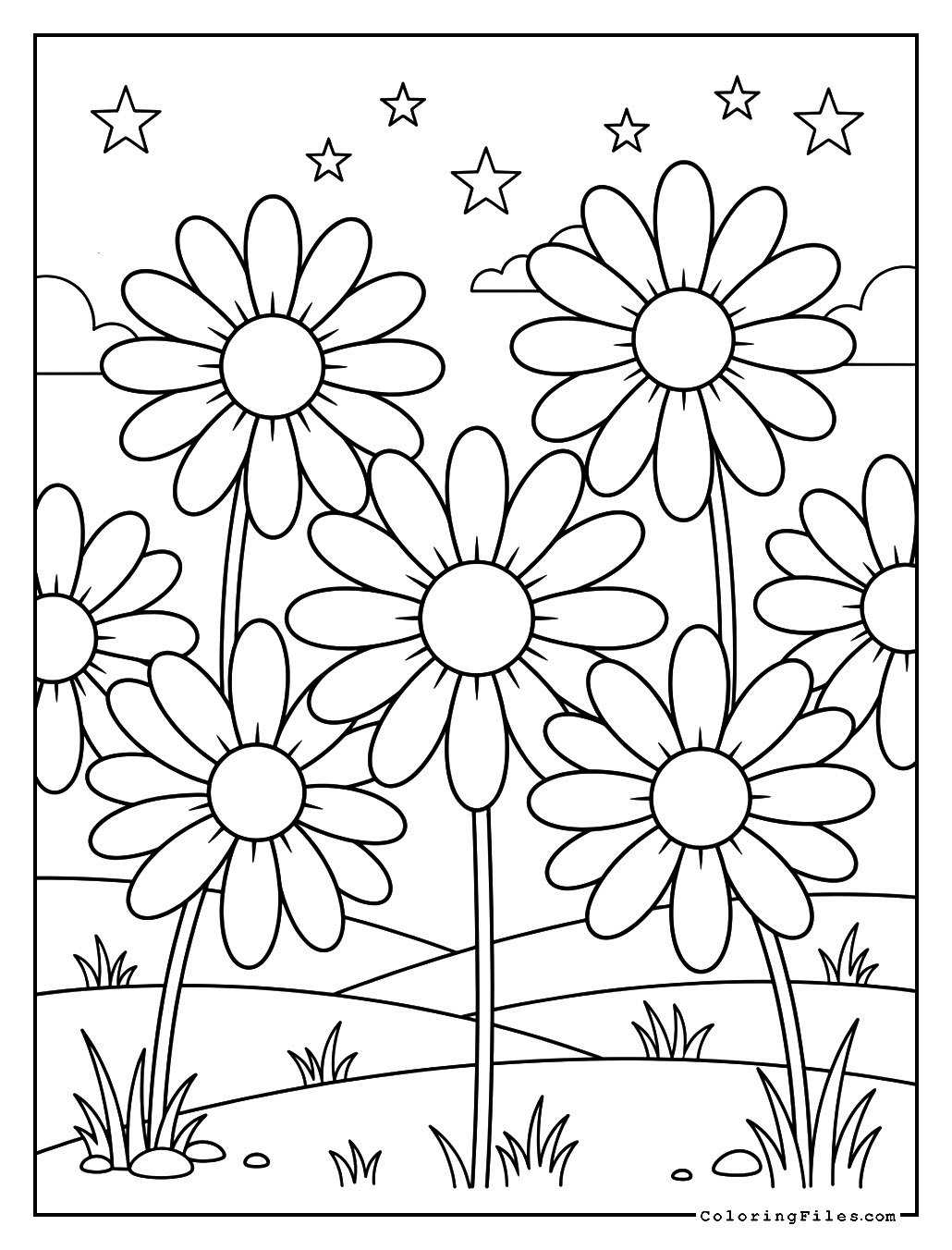 Daisy Bloom in a Starry Meadow