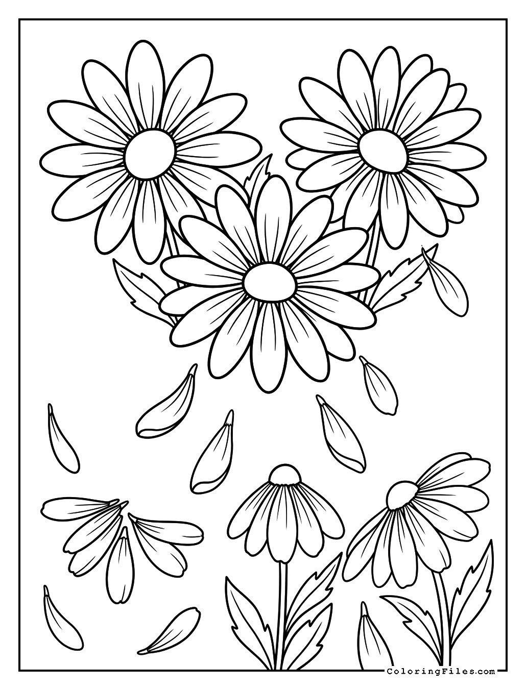 Daisy Petals Falling Like Confetti