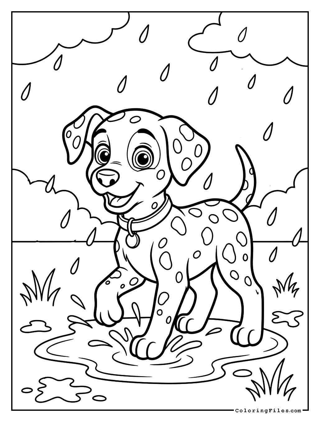 Dalmatian Playing in Rain