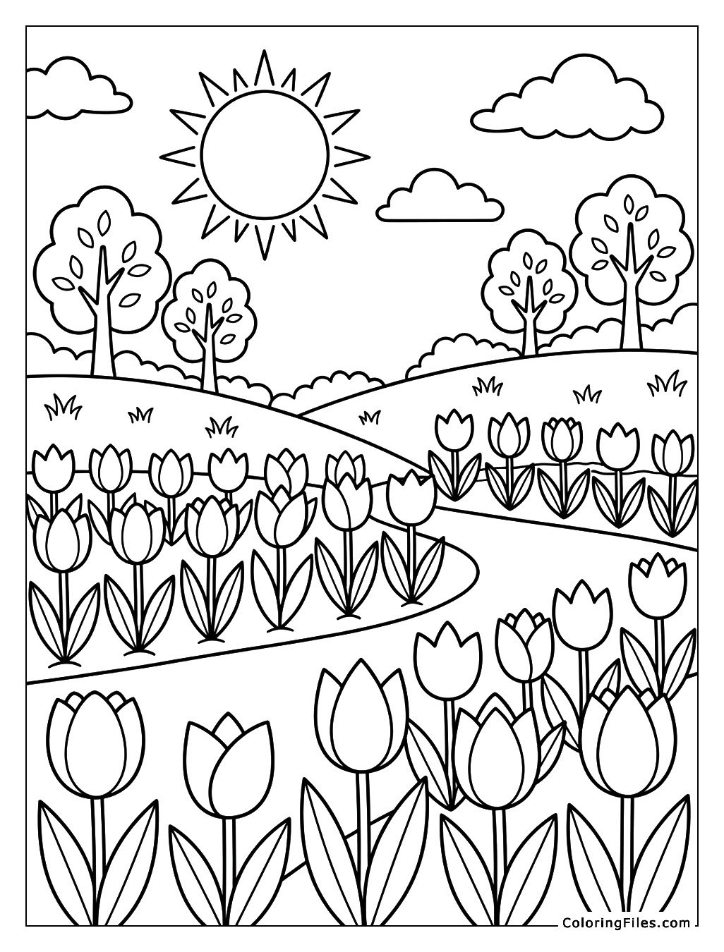 Fresh Tulip Garden in Sunshine