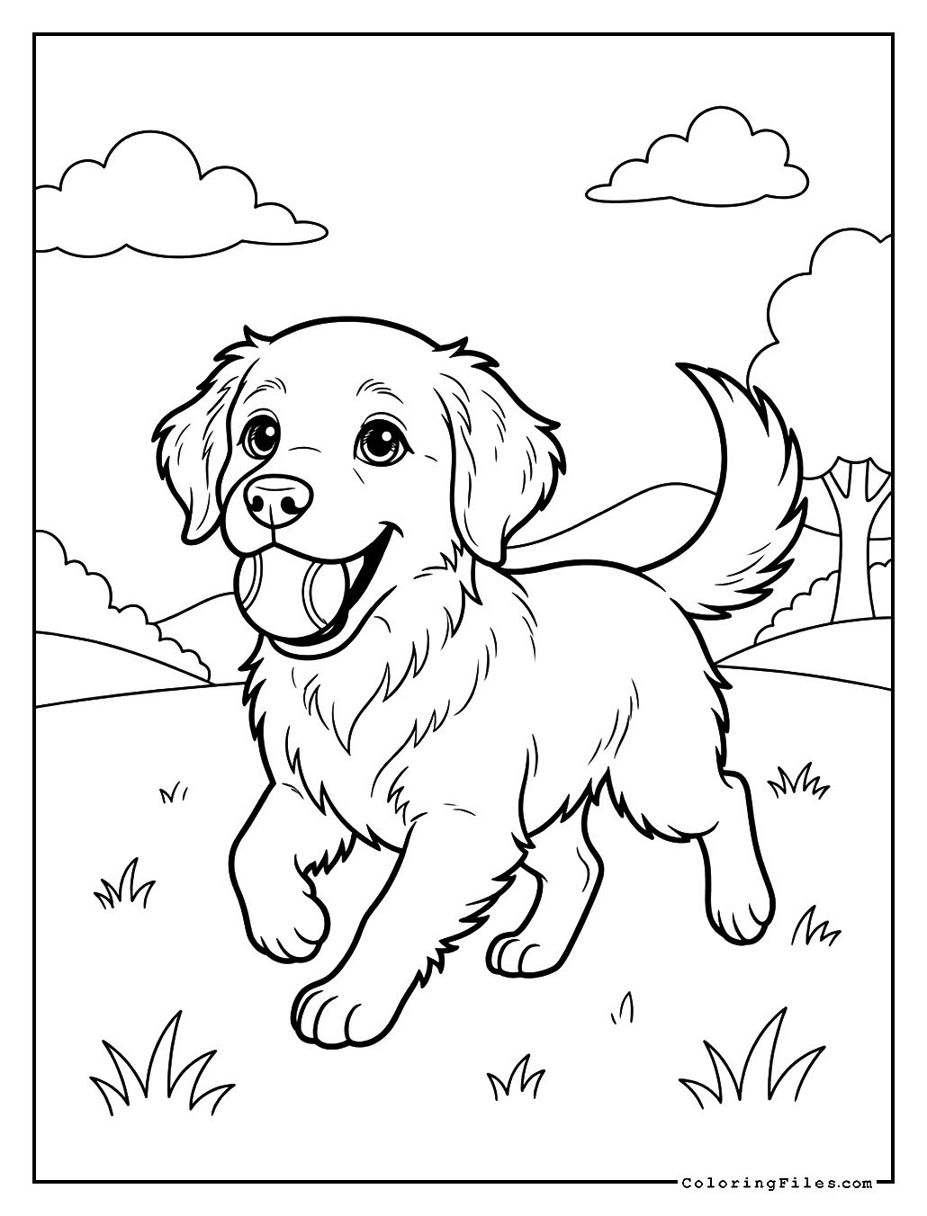Golden Retriever Playing Fetch