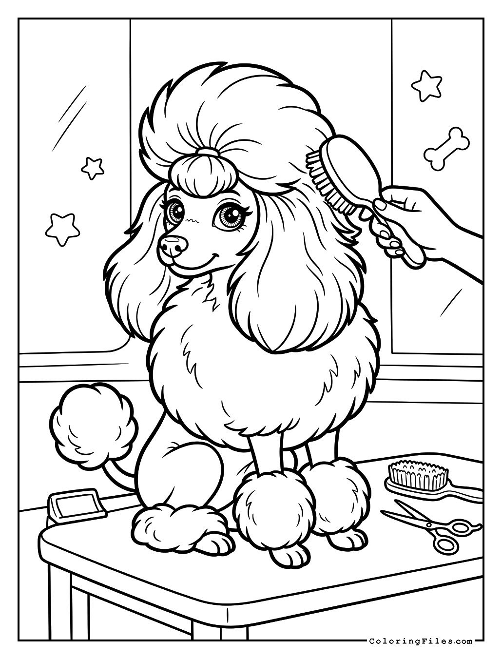 Poodle Getting a Fancy Groom