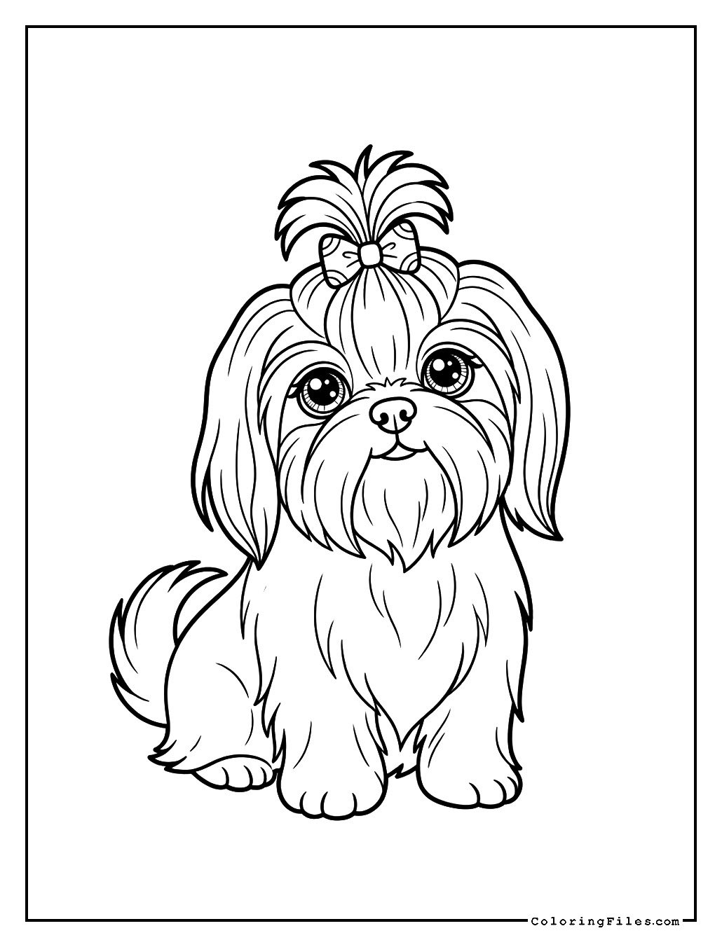 Shih Tzu with a Top Knot