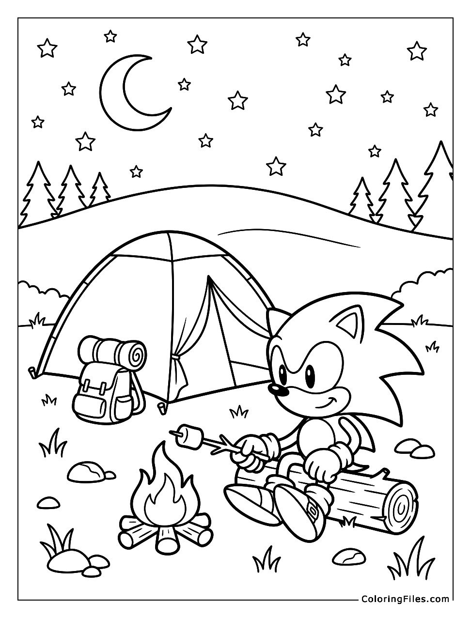 Sonic Camping Under the Stars