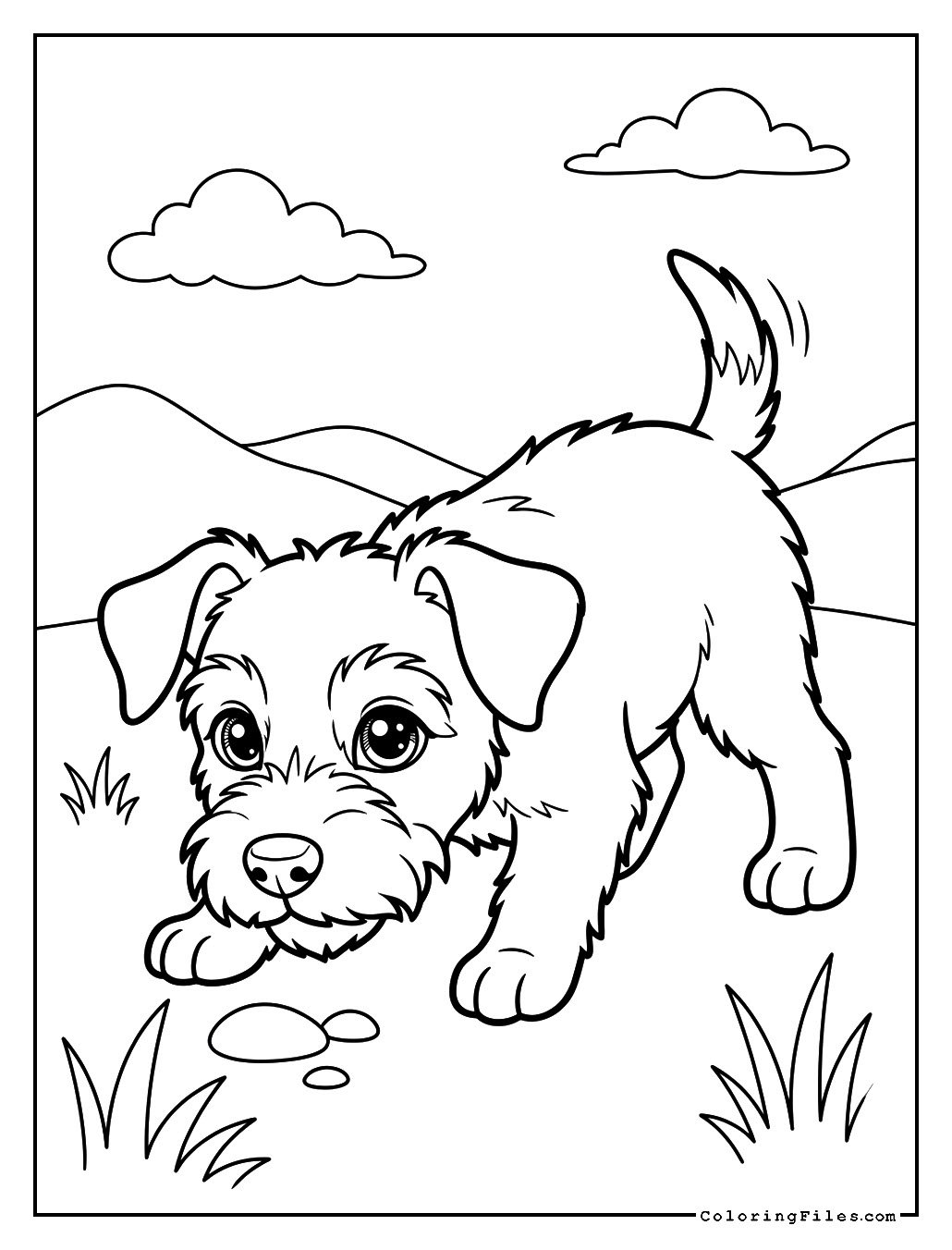 Terrier Puppy Exploring