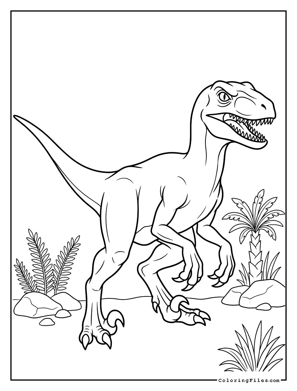 Velociraptor: The Swift Hunter