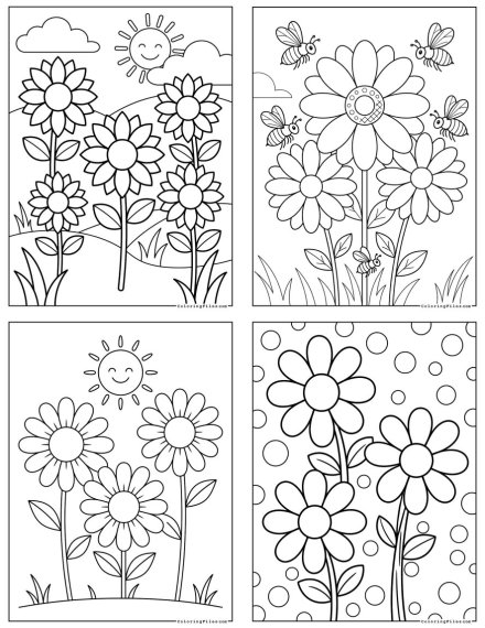 Daisy
