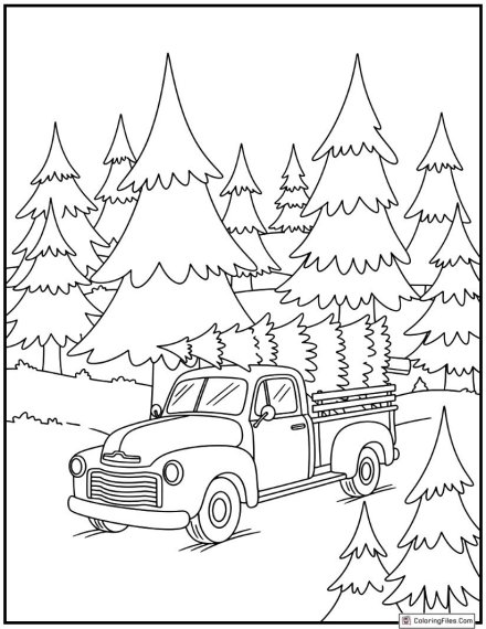 Christmas Tree Farm Adventure