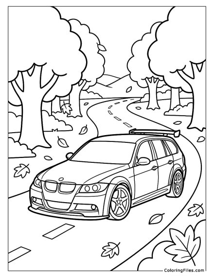 BMW Touring an Autumn Forest Road