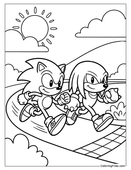 Sonic and Knuckles Racing Together