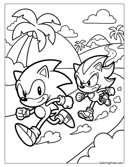 Sonic and Shadow Action Chase