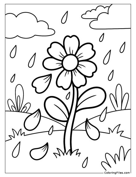 Petals in the Rain