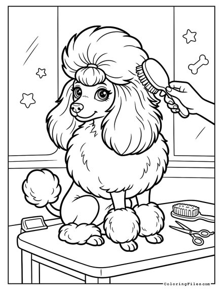 Poodle Getting a Fancy Groom