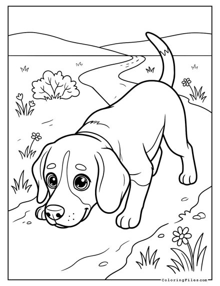 Beagle Tracking a Scent