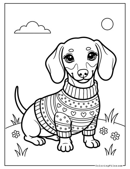 Dachshund Wearing a Sweater