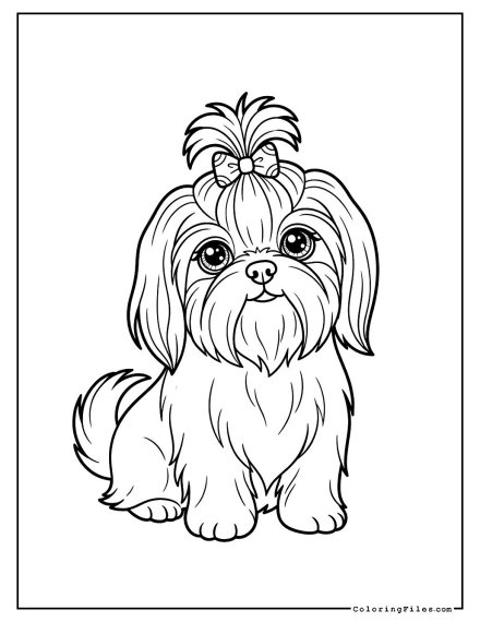 Shih Tzu with a Top Knot