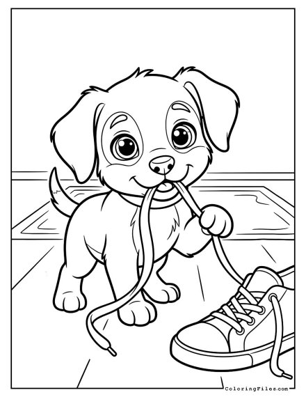 Puppy Playing with a Loose Shoelace