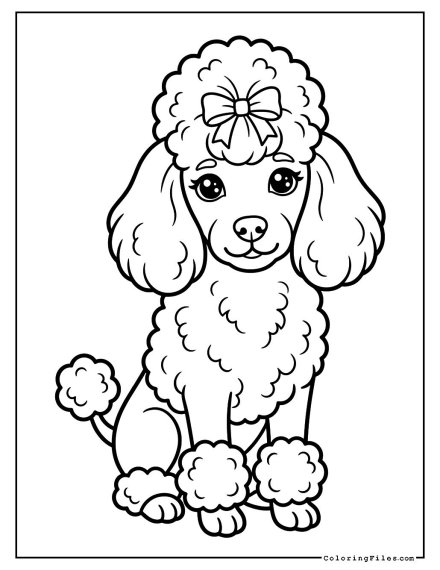 Poodle Puppy Groomed