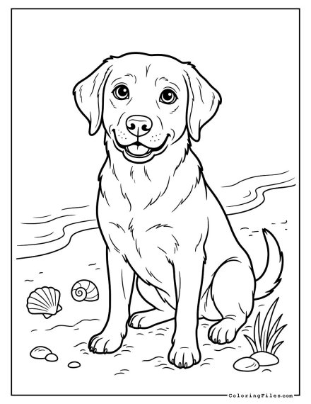 Labrador Retriever at the Shore
