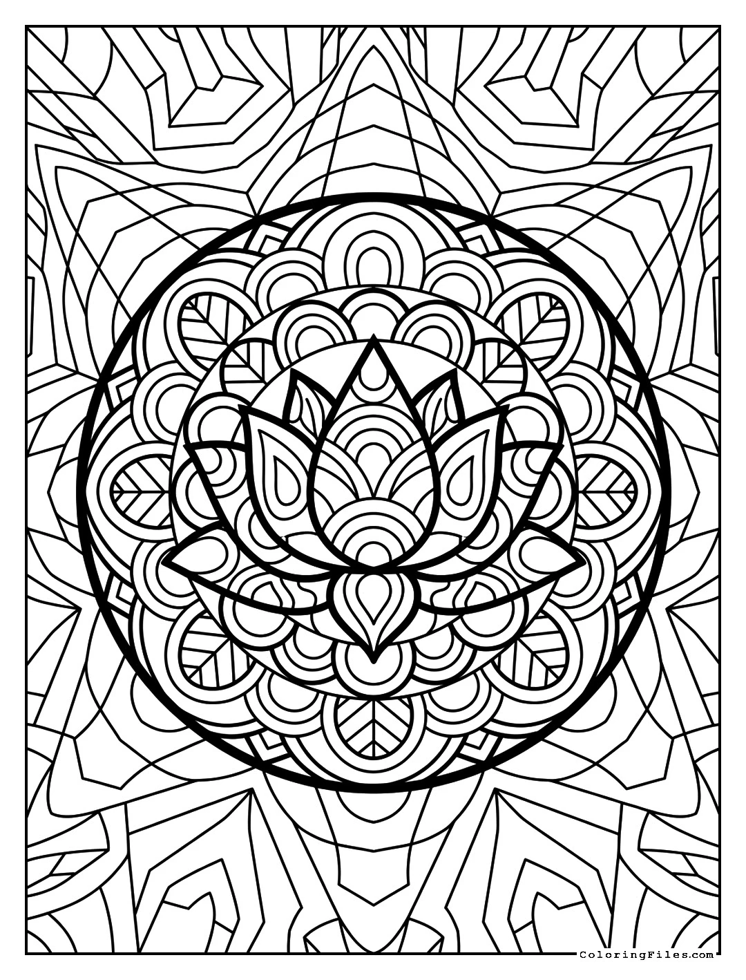 Vibrant Life Lotus