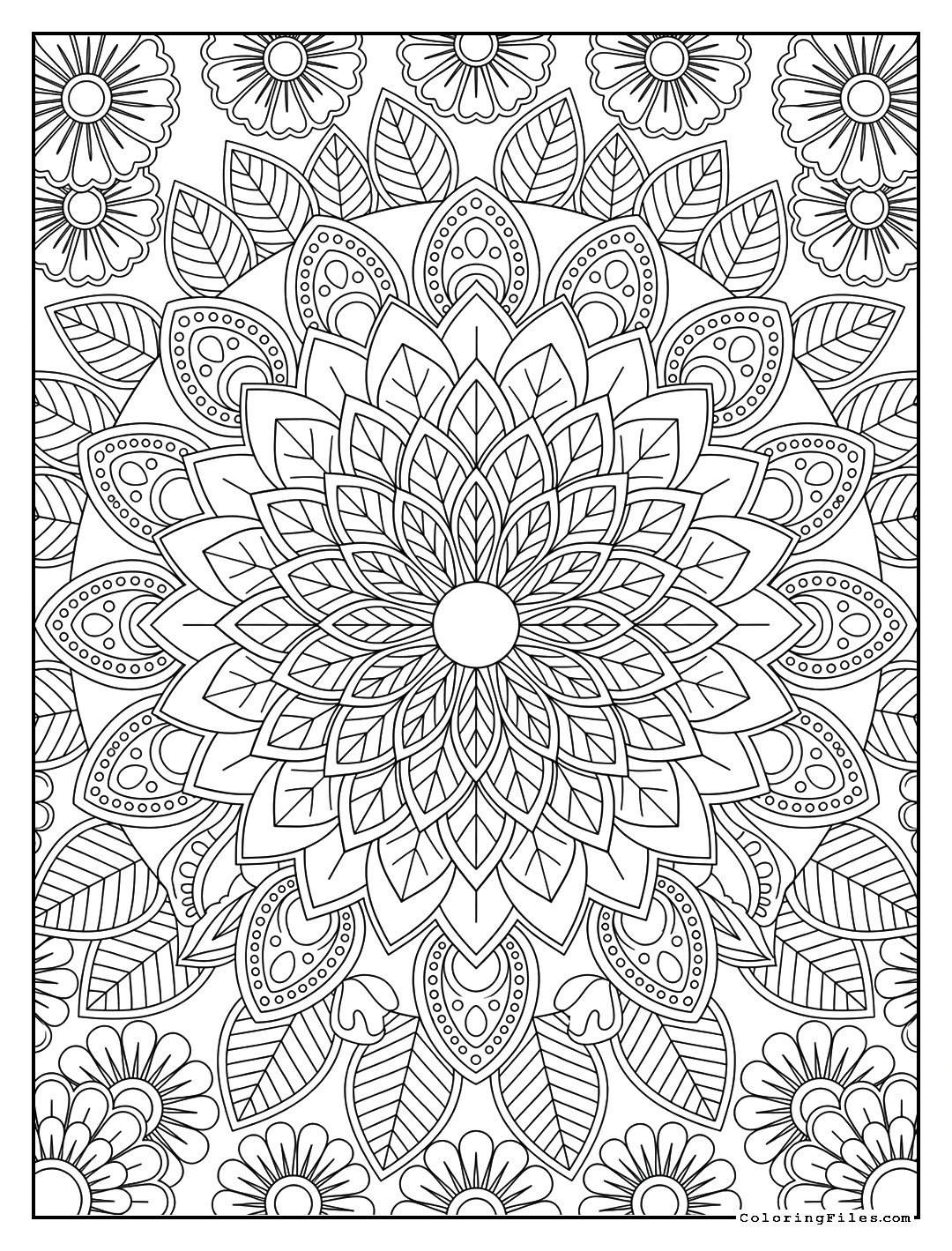 Dazzling Dahlia