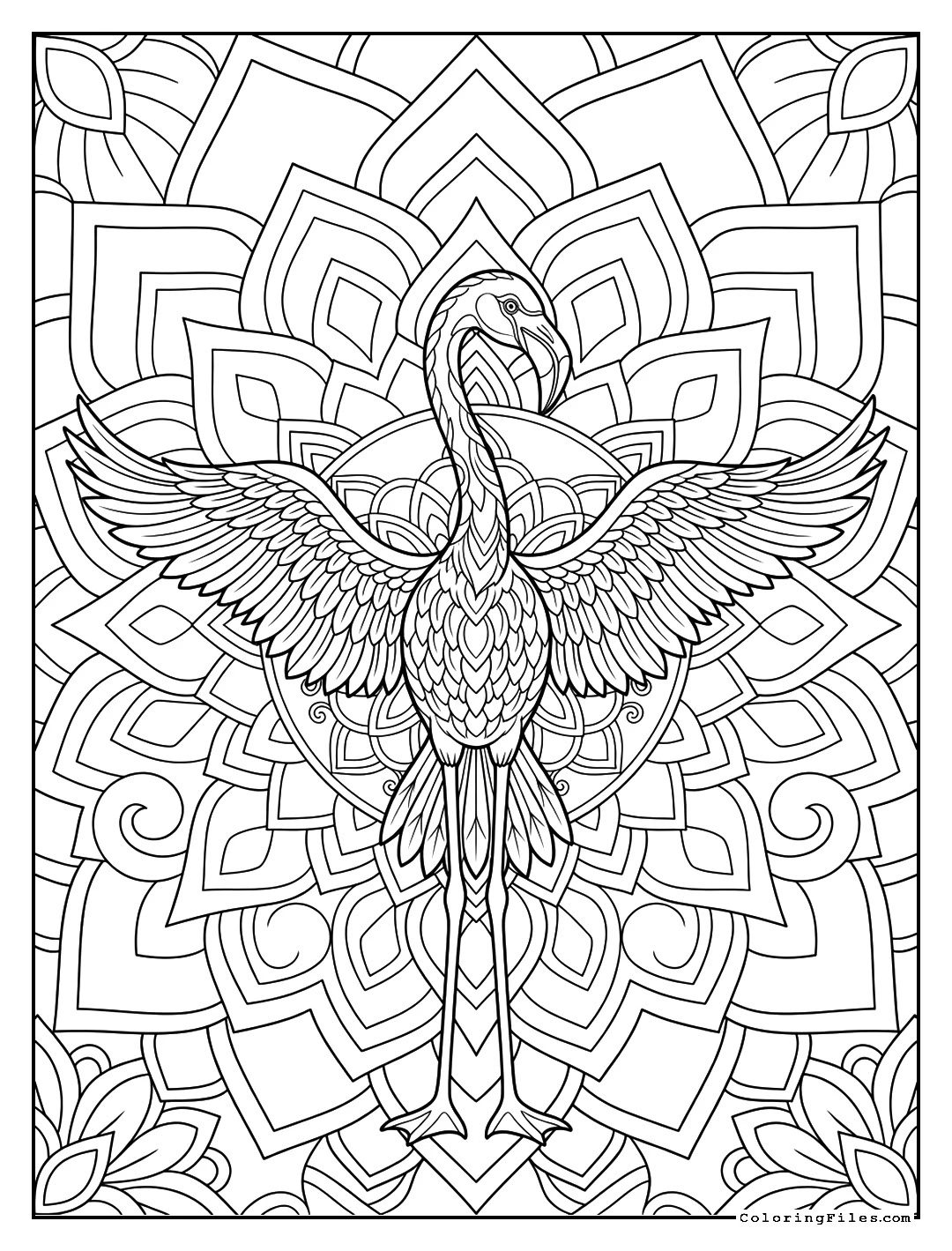 Elegant Flamingo