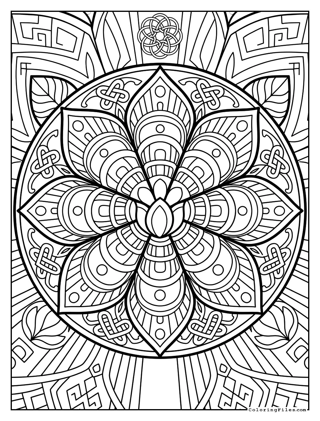 Sacred Lotus Petal
