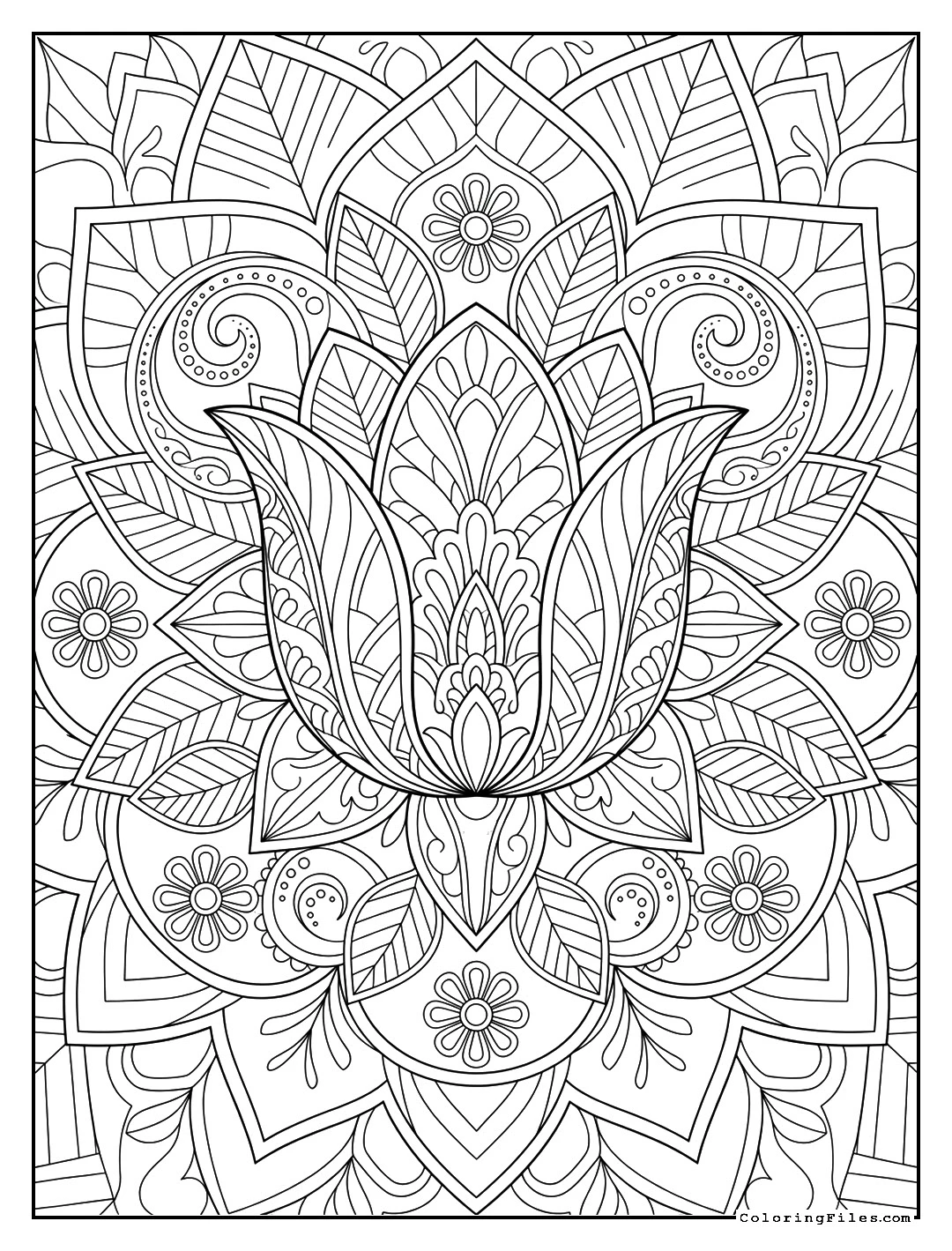 Elegant Tulip