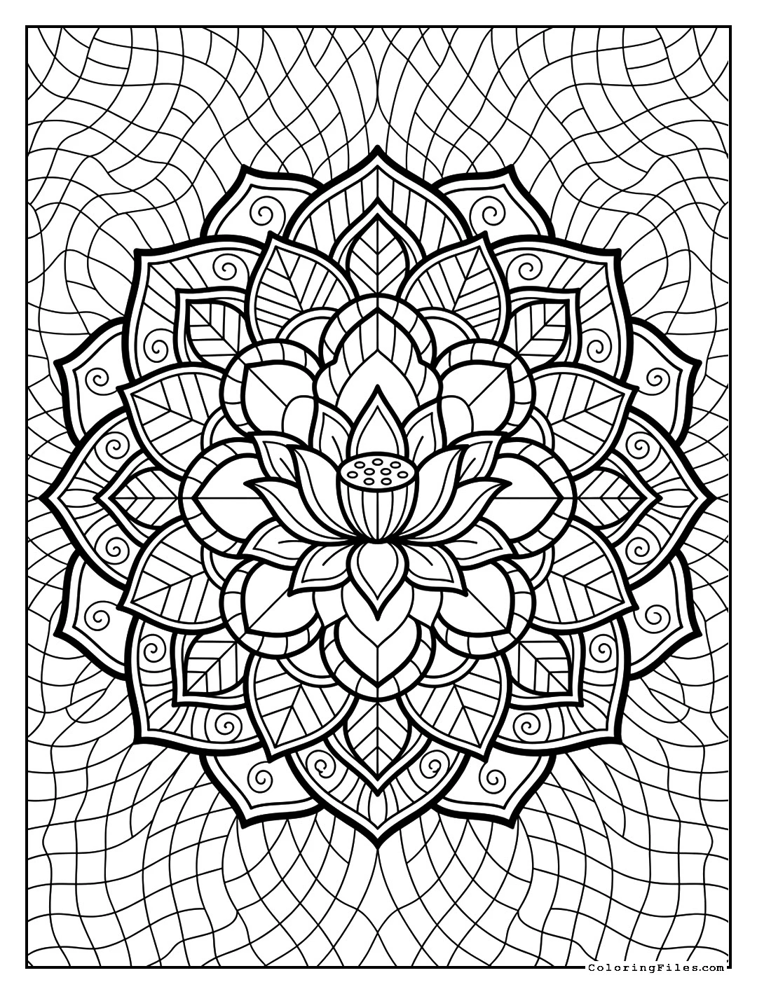 Radiant Soul Lotus