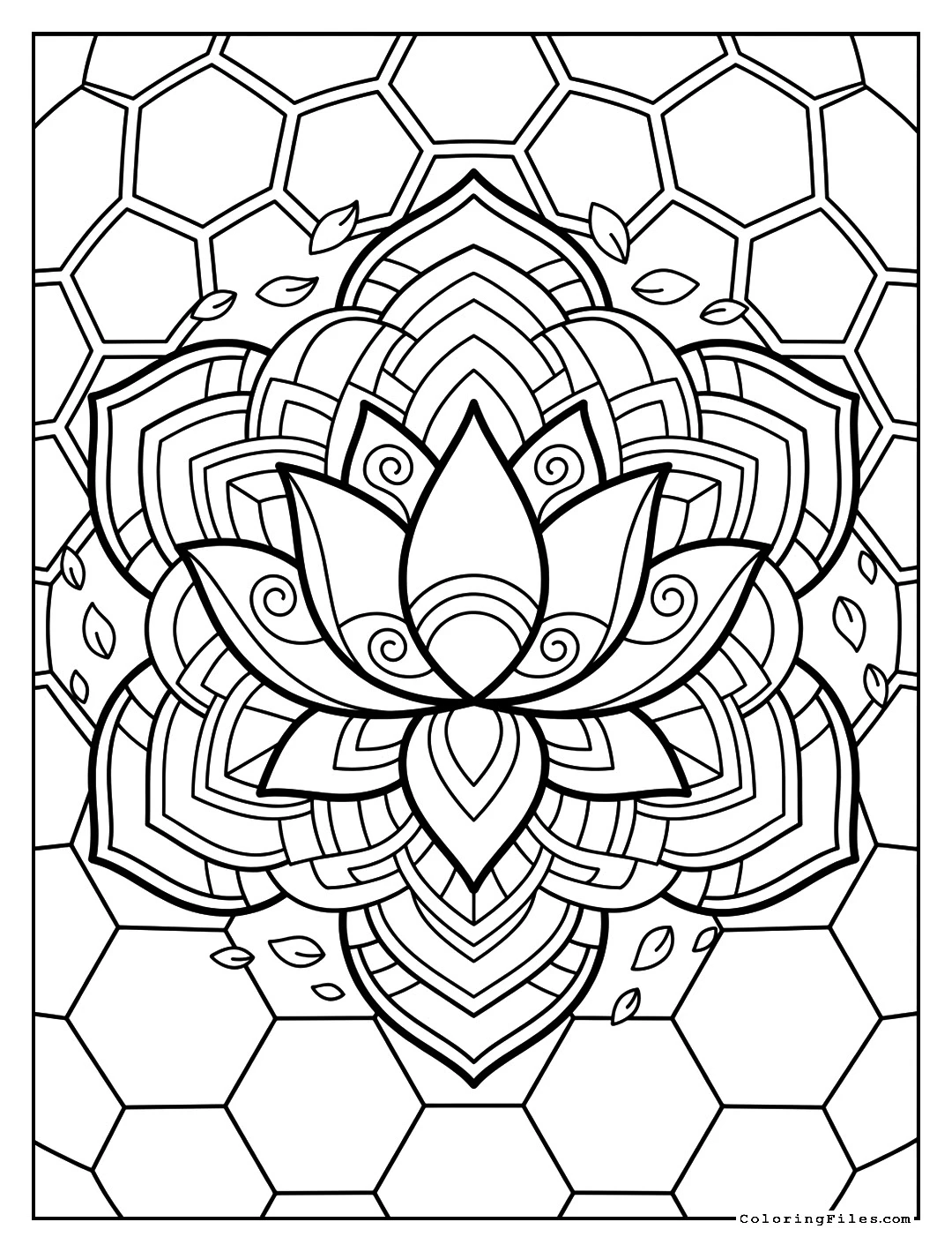 Transformation Lotus