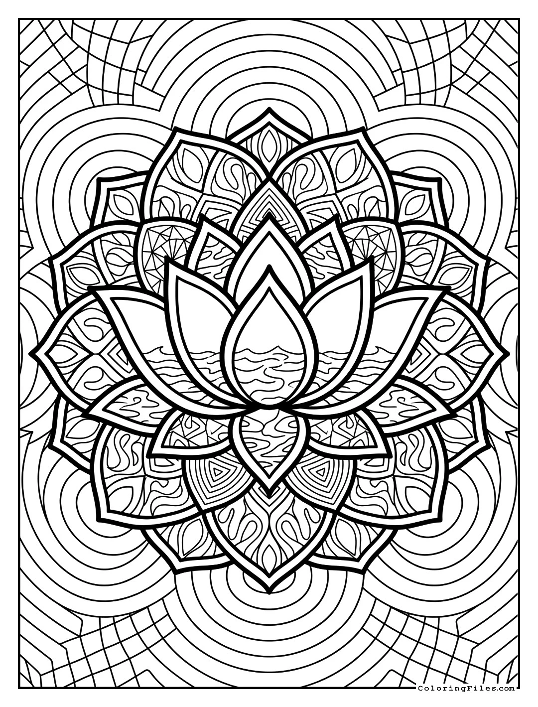 Calm Waters Lotus