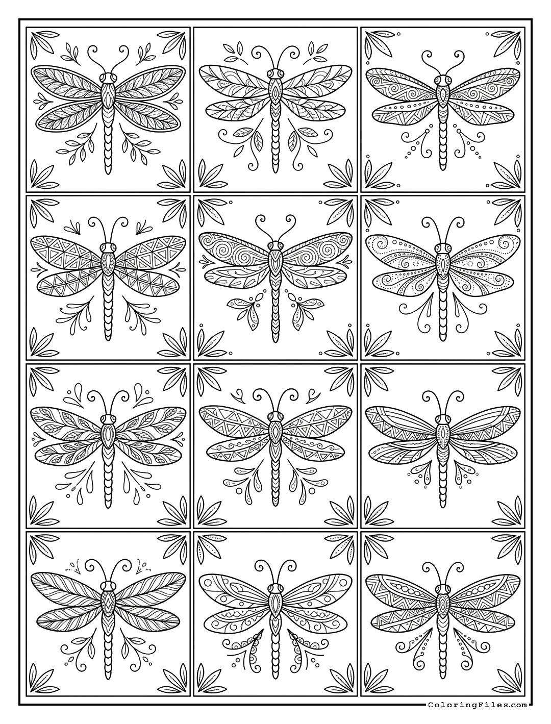 Dragonfly Blessings