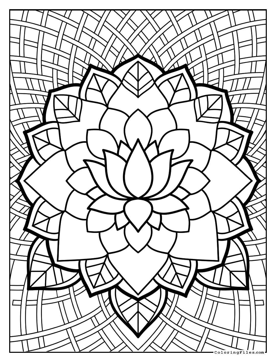 Divine Harmony Lotus