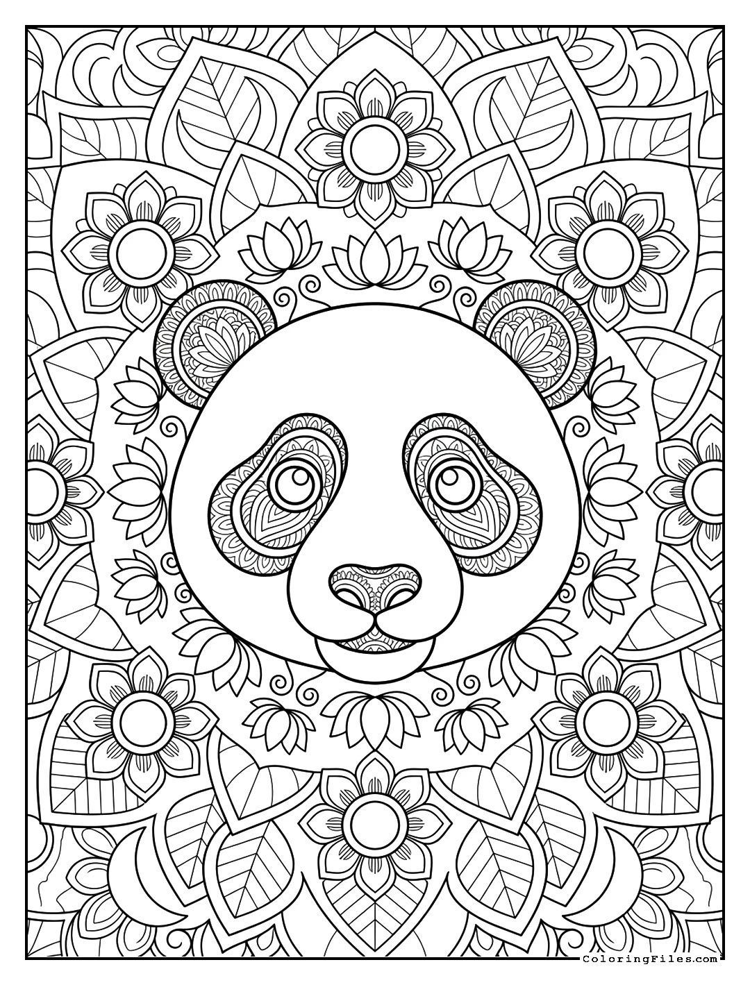 Cute Panda