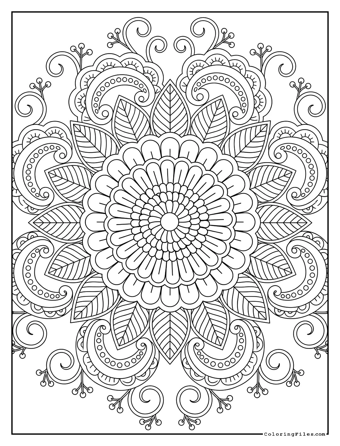 Bright Zinnia