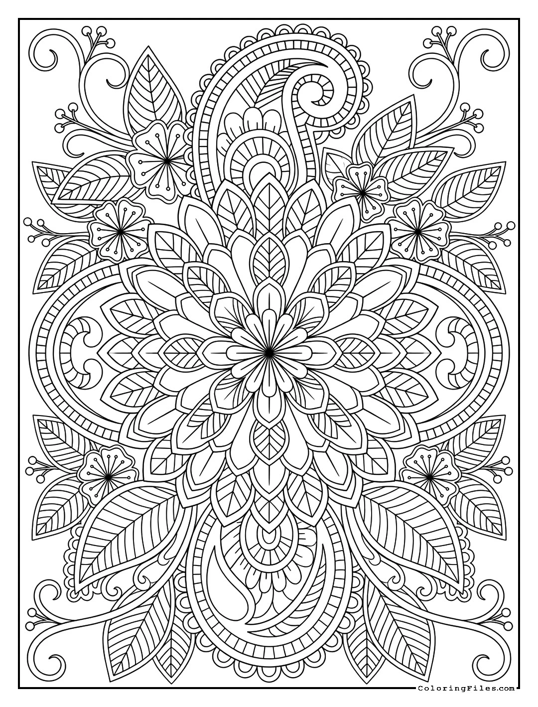 Bold Chrysanthemum