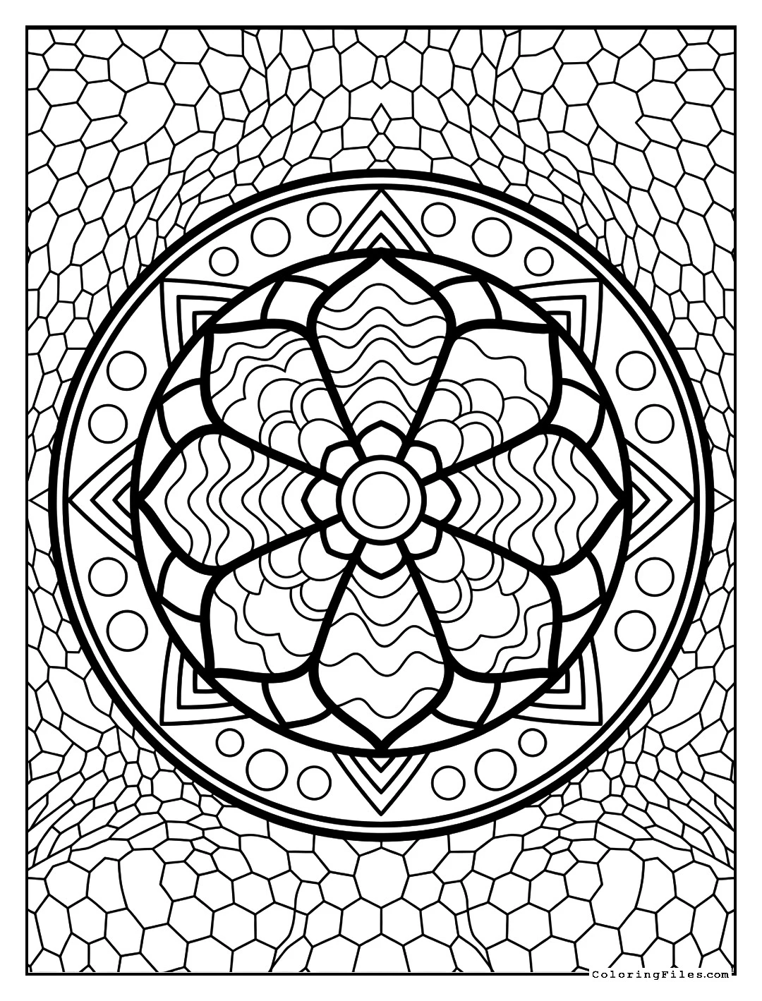 Gentle Flow Lotus