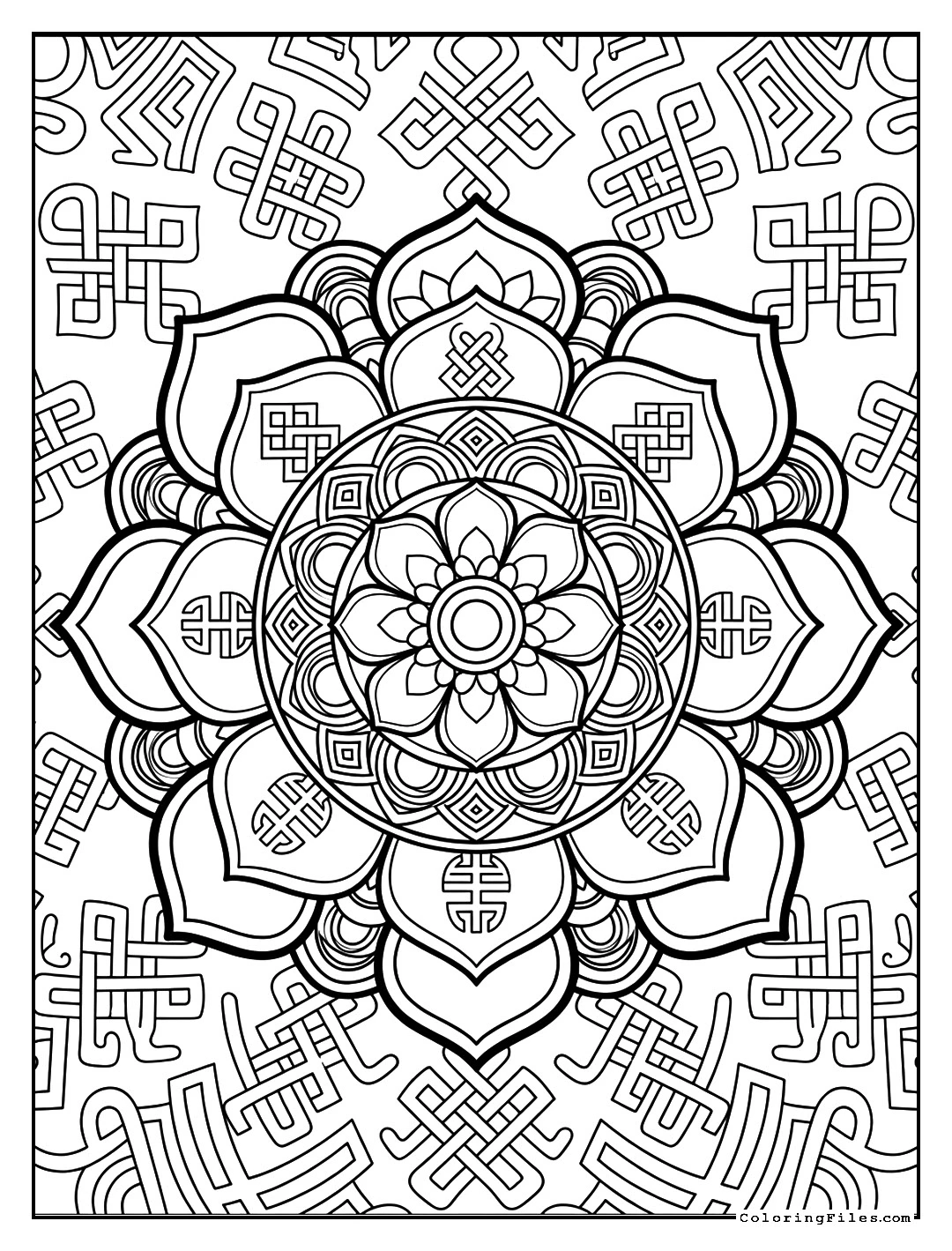 Floral Ring of Impermanence