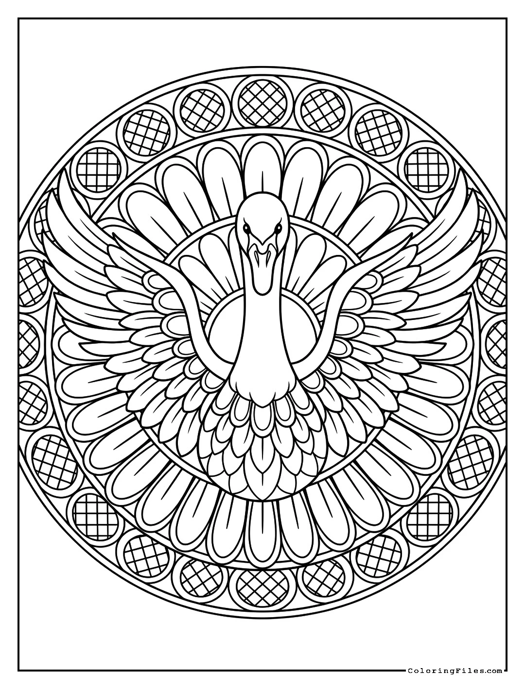 Graceful Swan