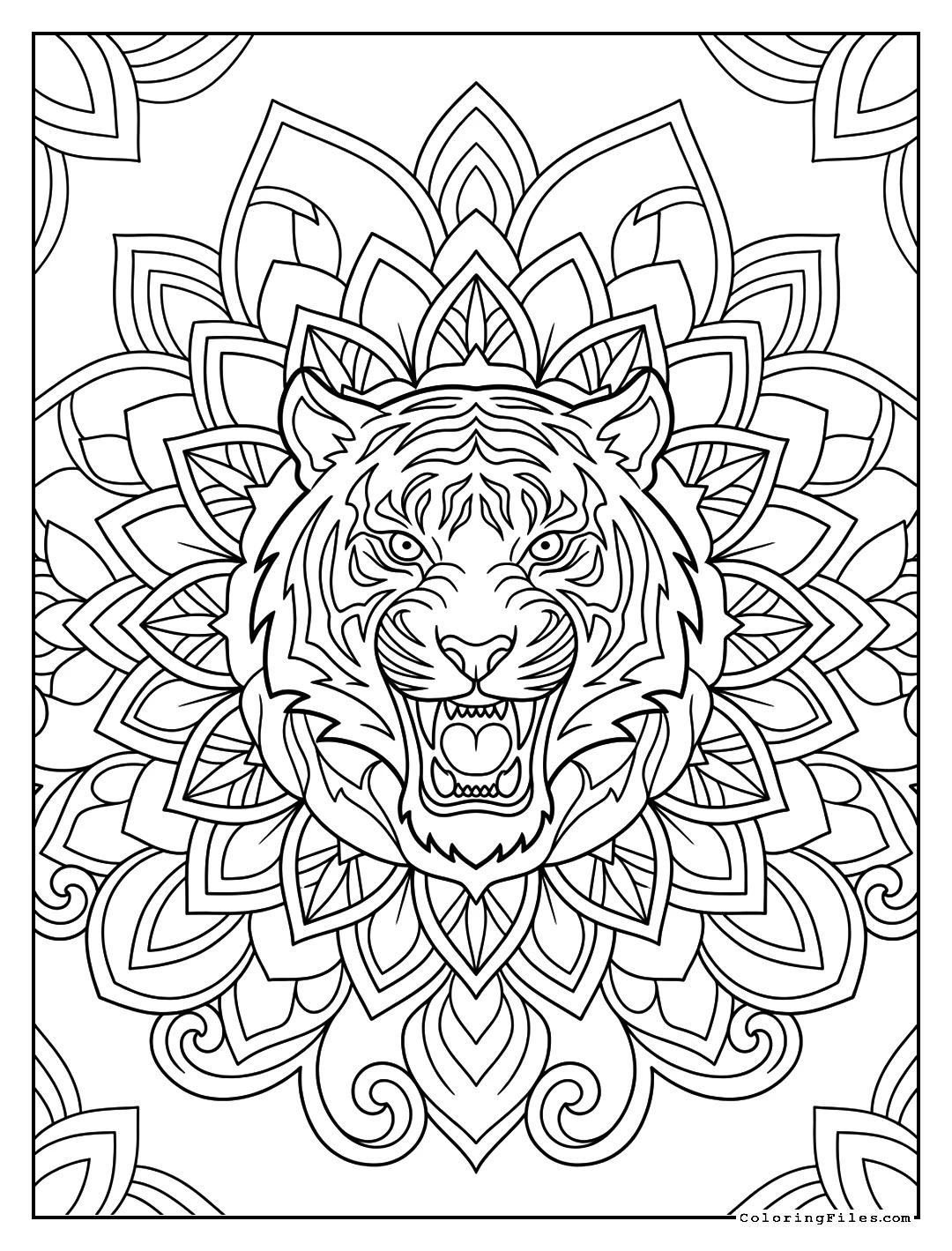 Fierece Tiger