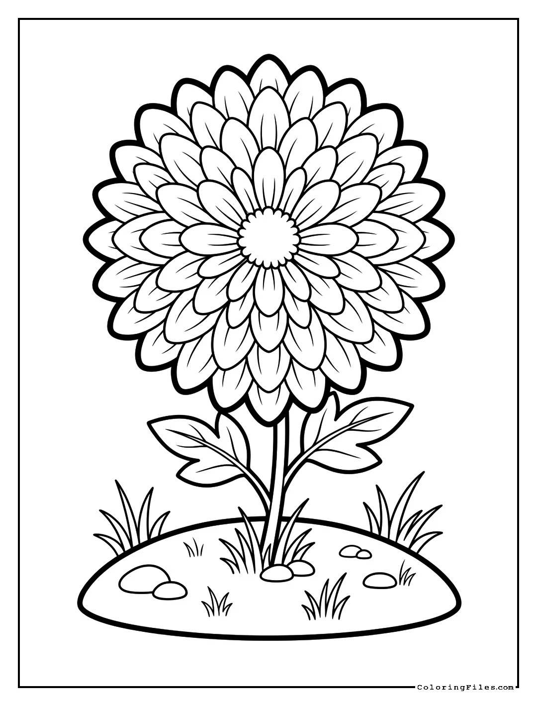 Autumn Chrysanthemum - Flower Coloring Pages (Free PDFs)