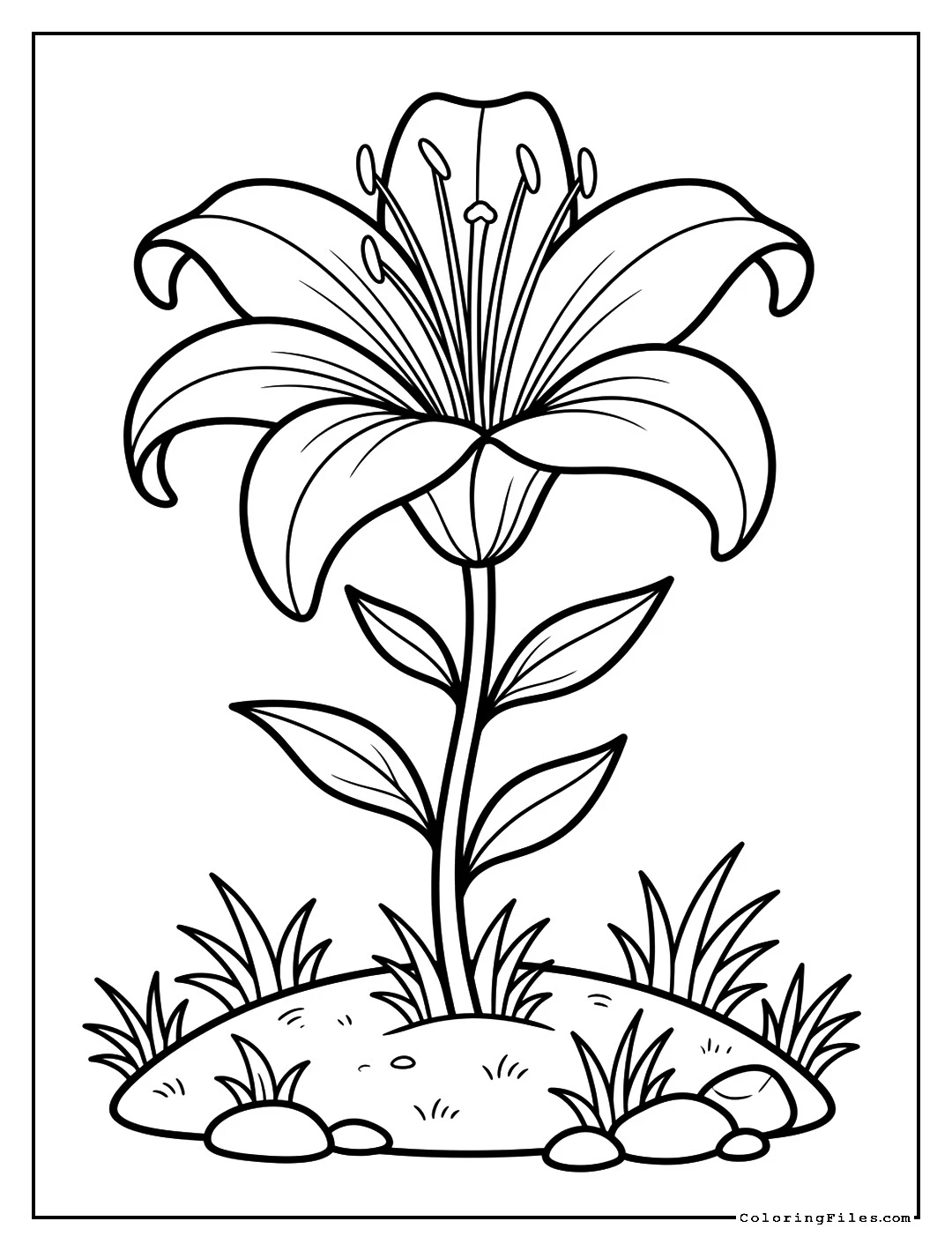 Graceful Lily - Flower Coloring Pages (Free PDFs)