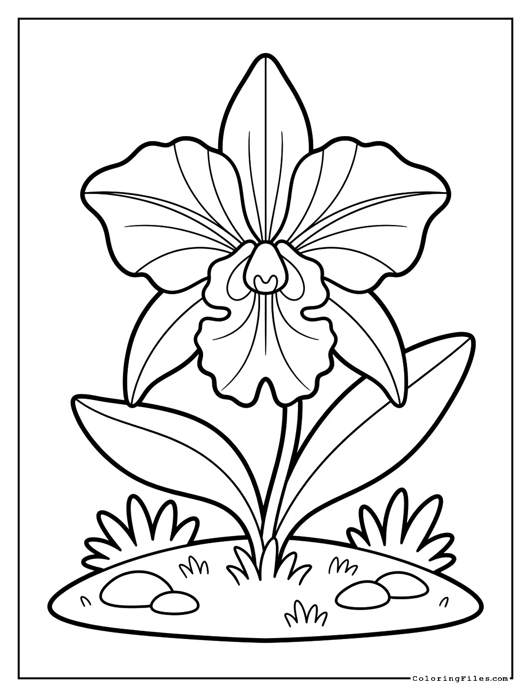 Exotic Orchid - Flower Coloring Pages (Free PDFs)