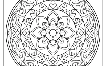 Target Circle Focus